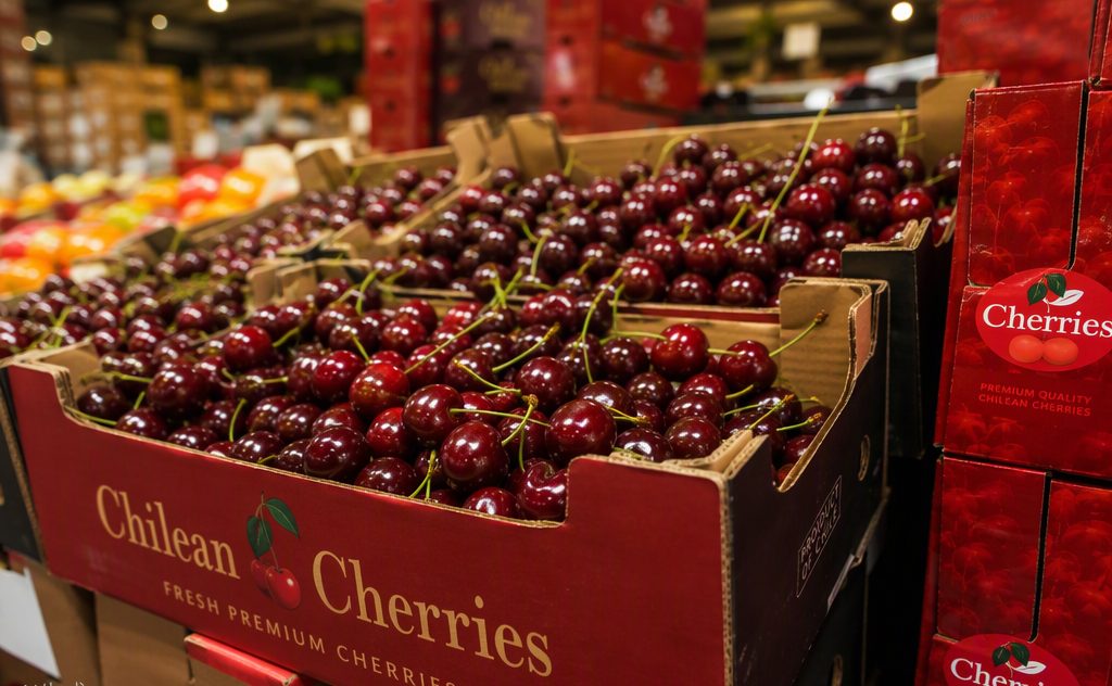 Fresh cherries in boxes at a wholesale fruit market